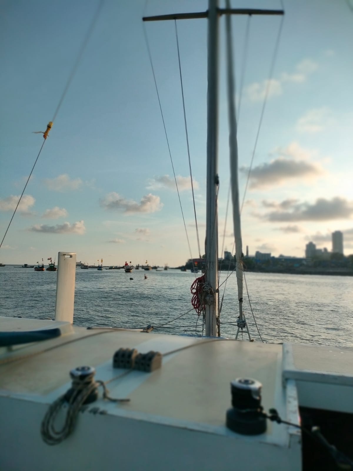 Weekday Sailing